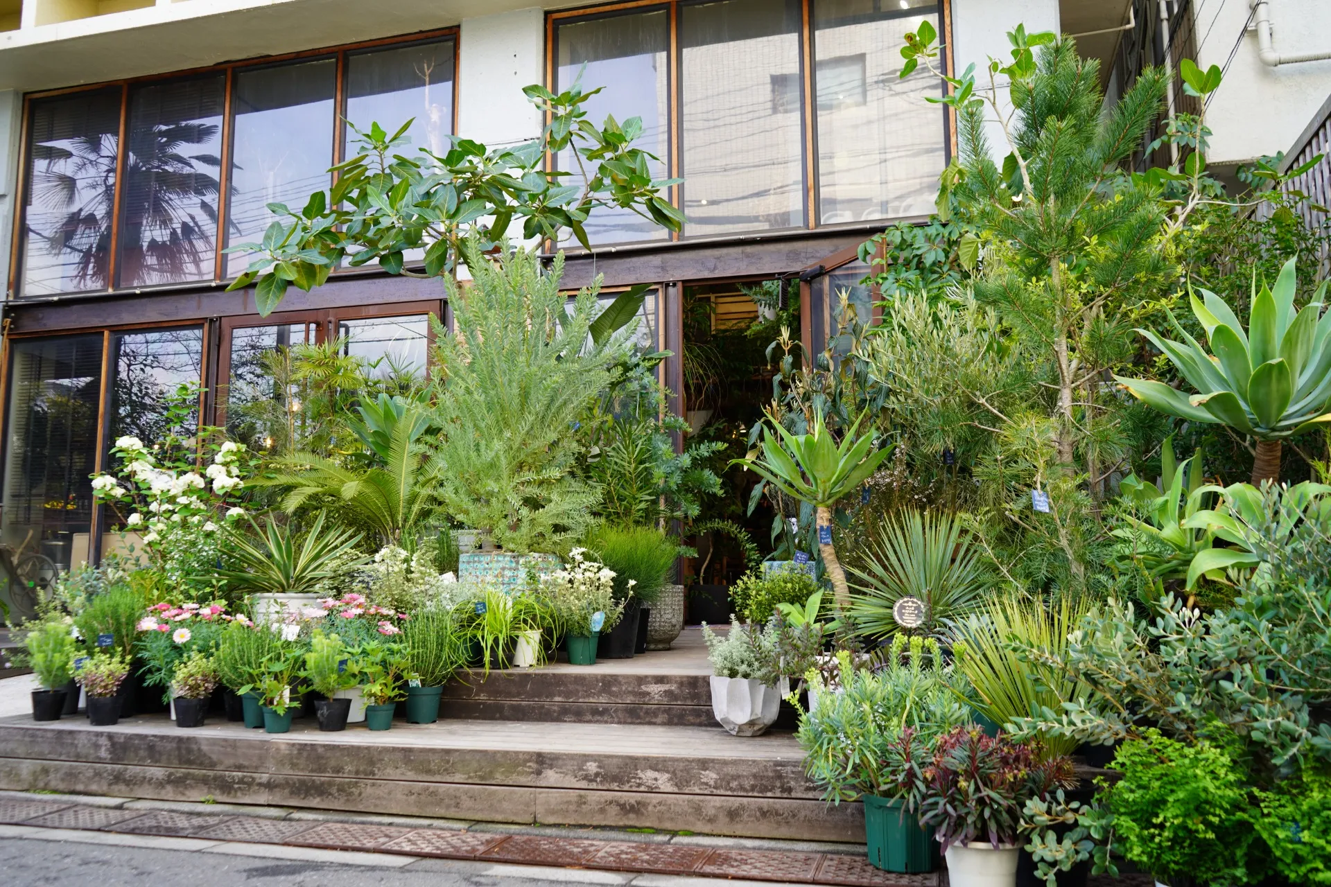 植物を通じて得られる彩り豊かな生活