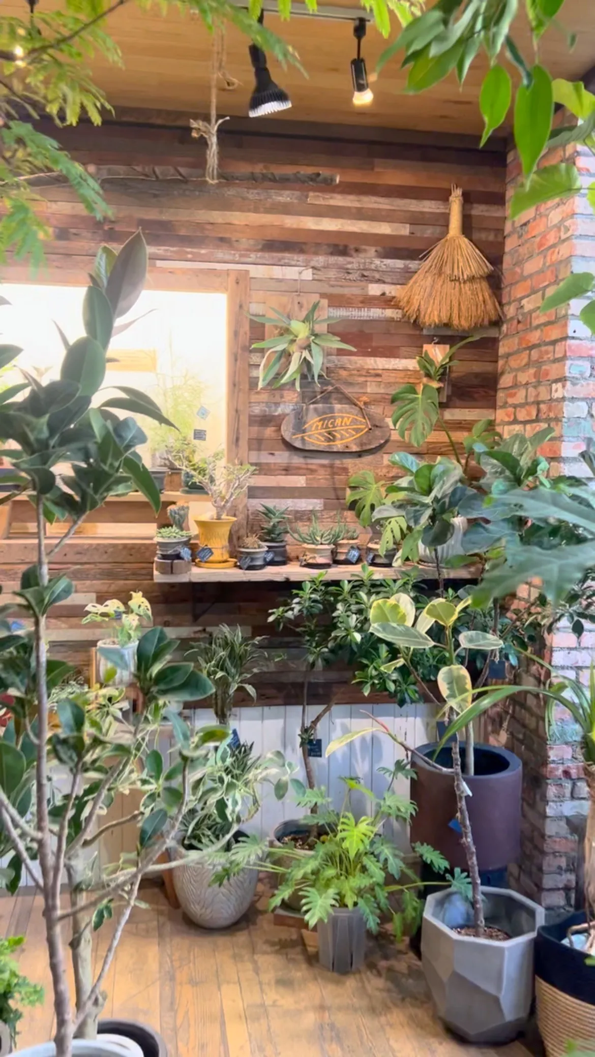 とても良い季節になりました♪  2025.4.12