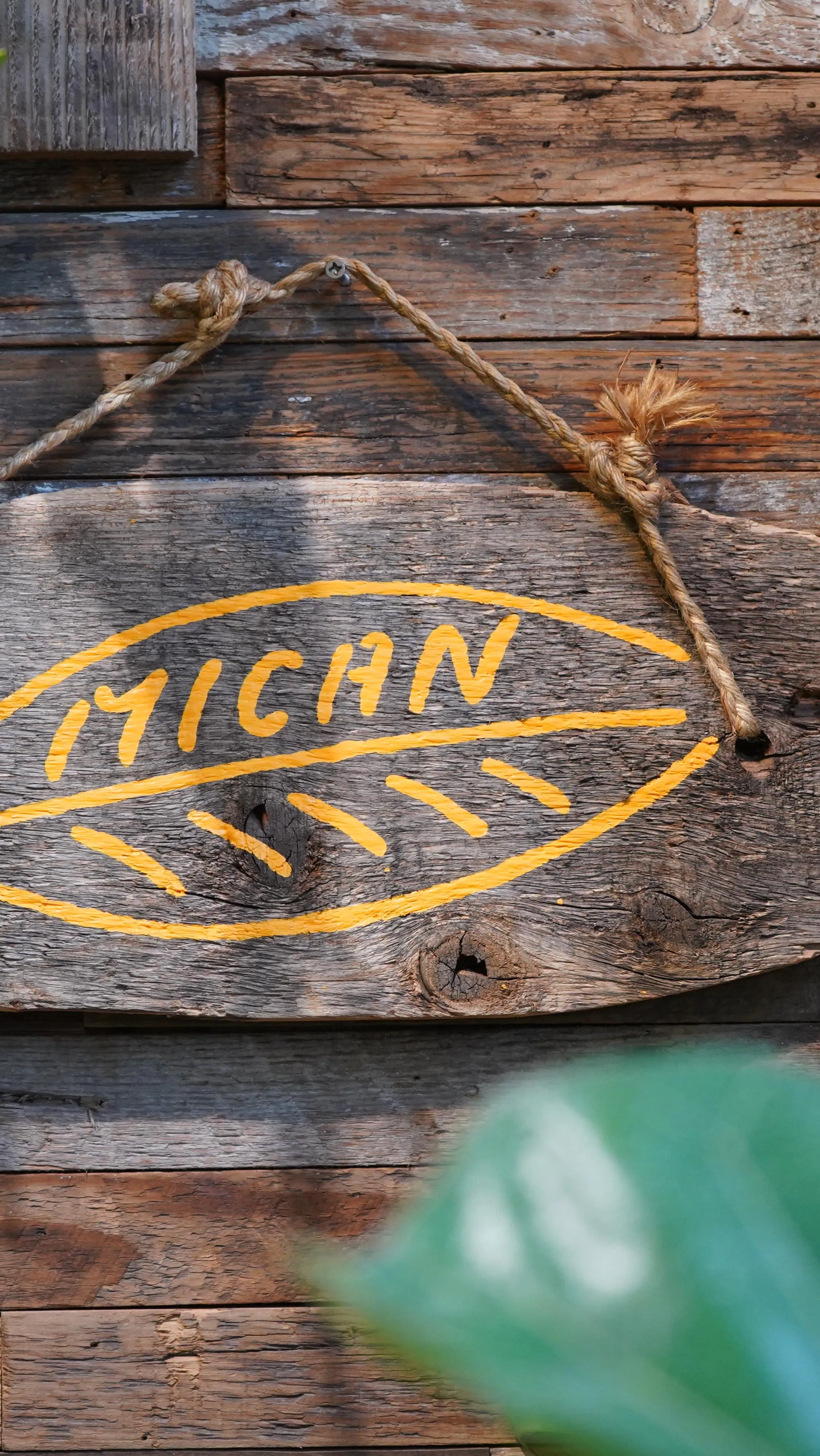 どんどん店先の植栽が入れ替わっていくシーズンなので