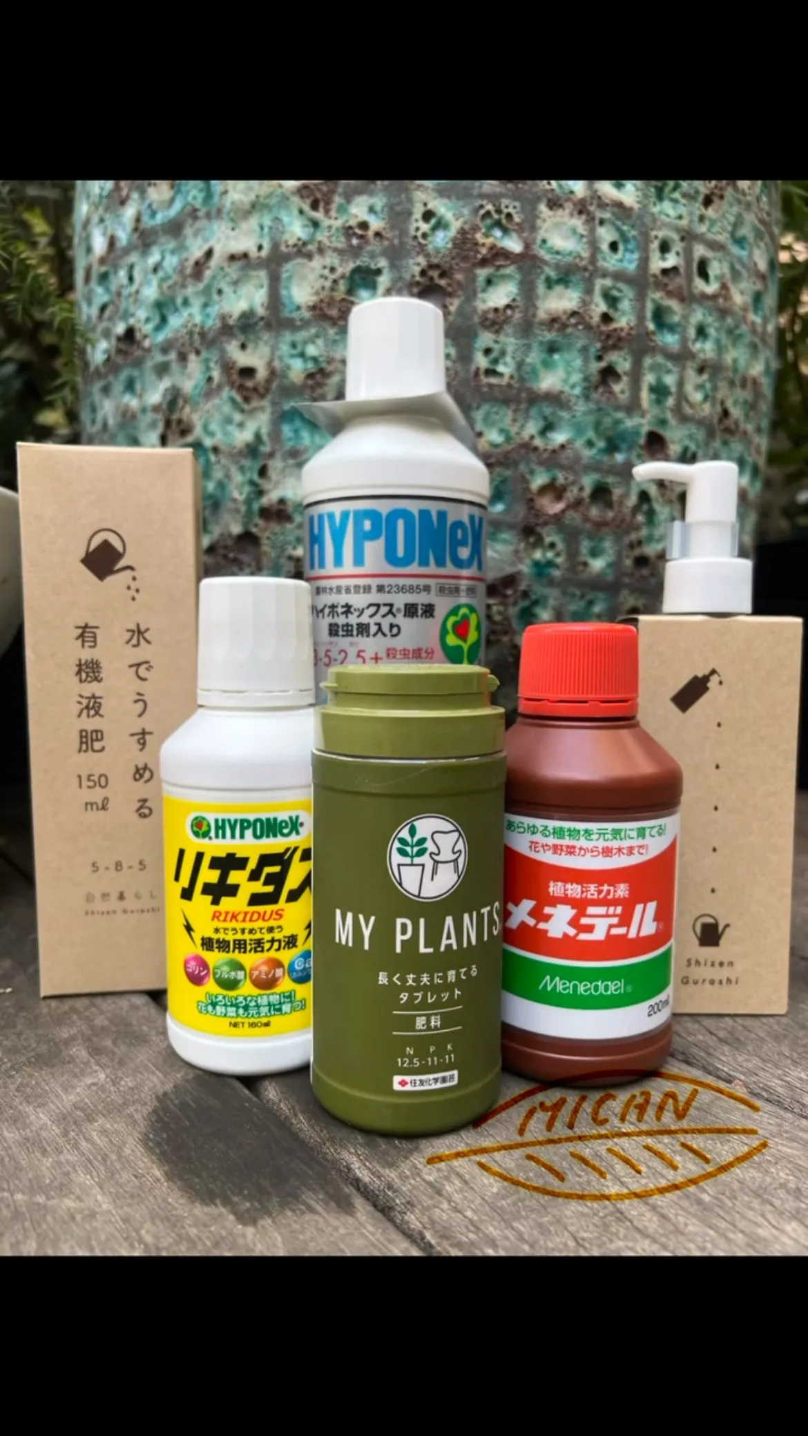 まだ間に合います‼️ 2025.4.27