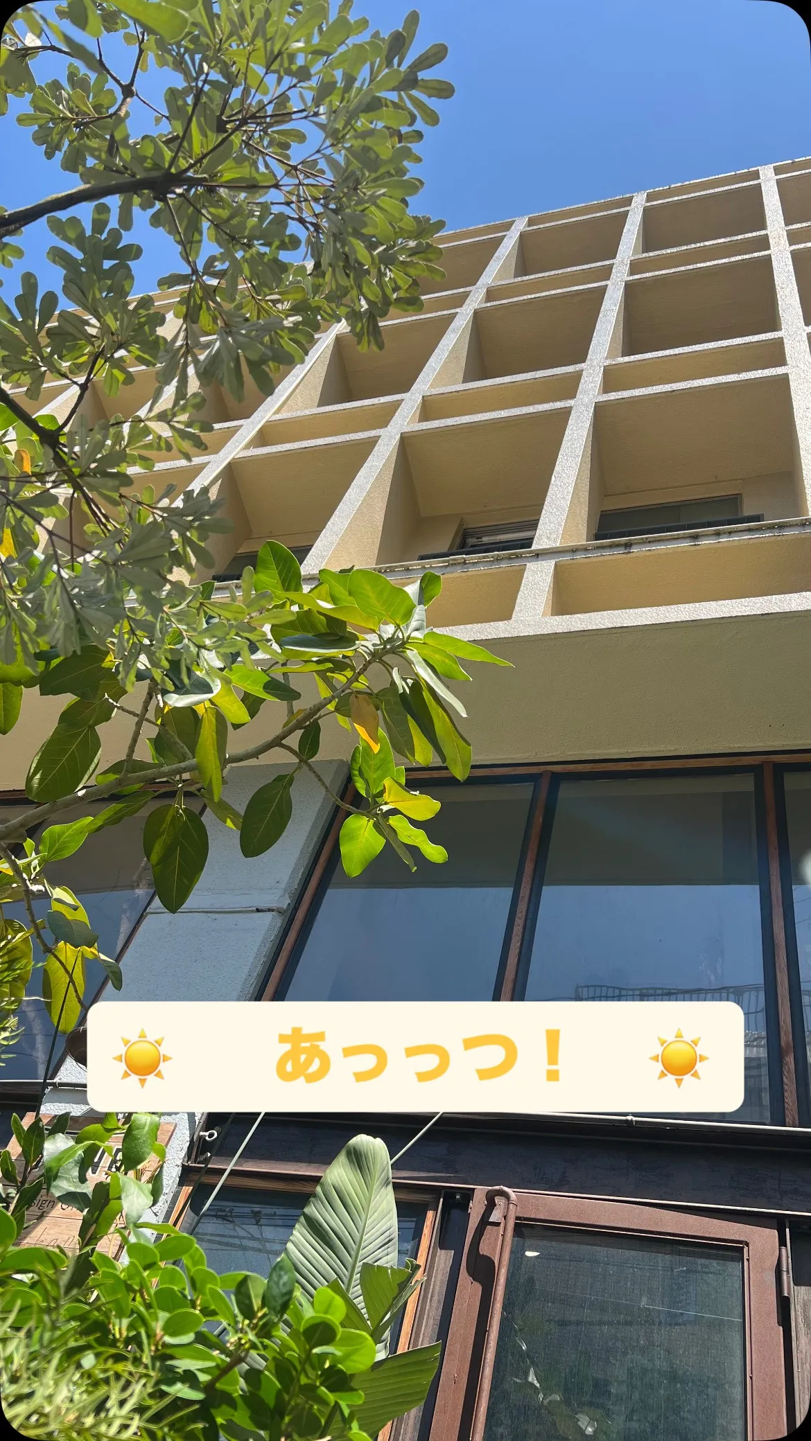 もぅ、、夏ですね☀️ 2025.6.28